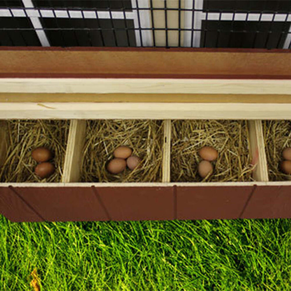 Close-up of the nesting box access in the EZ-Fit 4x6 chicken coop, illustrating convenience for egg collection.